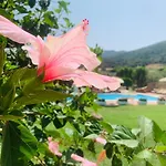 Janas 3* Tertenìa