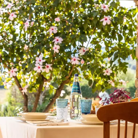 Hotel Janas 3*