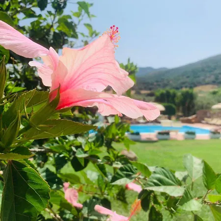 Janas 3* Tertenia
