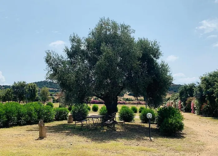 Janas 酒店 Tertenìa